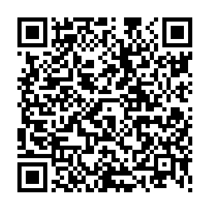 而此刻眼前的这个虽然是天纵之才的年纪轻轻便达到了d级的年轻人虽然很是厉害二维码生成