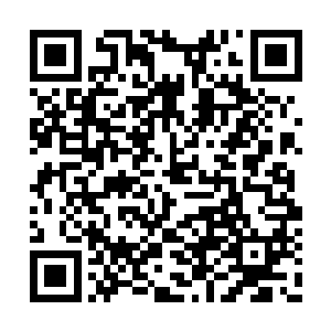 而此刻站在一旁观望的小九却是倒吸了一口凉气二维码生成