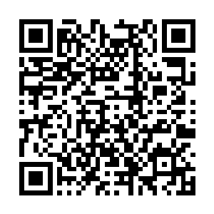 而此刻面对区区一个由土系法则力量所形成的土牢二维码生成