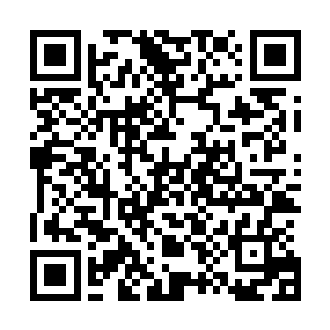 而此前融合炼化这股由吞魂凶灵的元符灵种所化的精纯魂力二维码生成