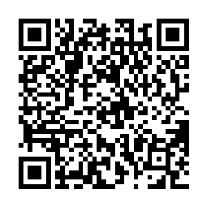 而此后这个国家也必然由继承了神之血脉的神子来统治二维码生成