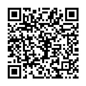 而此时乔家三兄弟还在笑嘻嘻的在哪里说着晚上要去哪里玩二维码生成