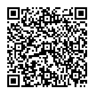 而此时他们也终于知道了为什么刚才的时候龙珠外面会出现一层由炫极天火组成的防御了二维码生成