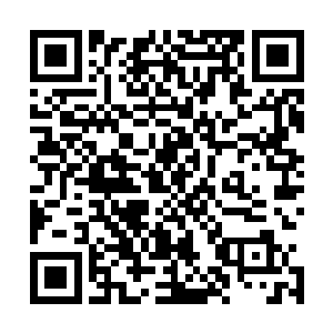 而此时护宗大阵上空的四道恐怖的虚影也发出一阵阵嘶吼声二维码生成
