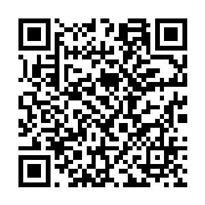 而此时欧阳玲一行人已经从空中降落到议事大殿门前二维码生成