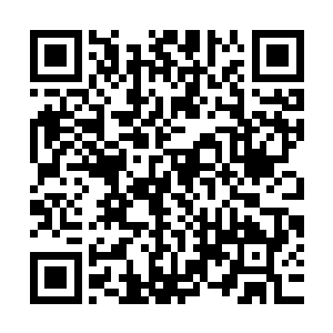 而此时此刻的飘零断然是不知道自己已经被自己的哥哥所算计着二维码生成