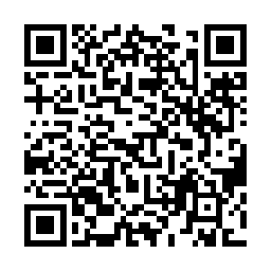 而此时的两个小古藤又再一次被王卧云和云飞凤击飞了出去二维码生成