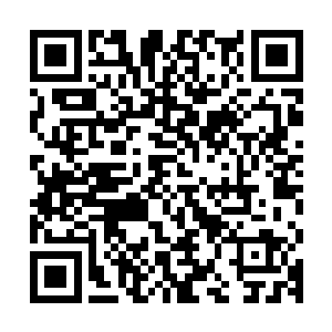 而此时的天道则是将手里的画笔在自己的指尖轻轻的转动了一下二维码生成
