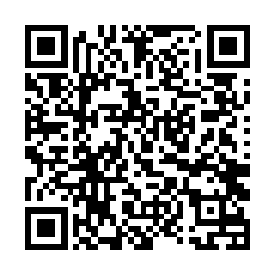 而此时的小蓝则从一阶直接晋升到了二十二阶的水平二维码生成