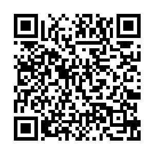 而此时的我浑然不知昊天域界内发生的这些对话二维码生成