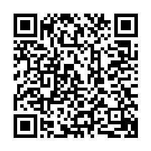 而此时的许紫烟却是深锁着眉头望着眼前这个白须皓首的老者二维码生成