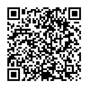 而此时的雷欢喜发现自己真的有一些像是一个国王陛下那样在那说话了二维码生成