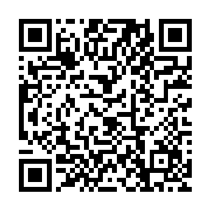 而此时站在许紫烟身后的那个青年却是在眼中闪过了一丝睿智二维码生成