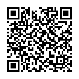 而此时胡车儿阵前的盾兵也已纷纷以铁盾筑起了盾墙二维码生成