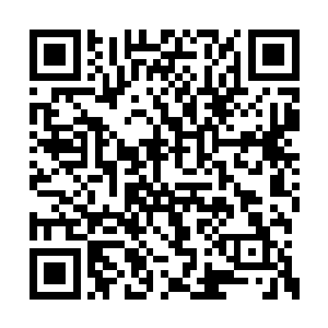 而此时被围困的巨大盾牌阵已经变成了小小一团二维码生成