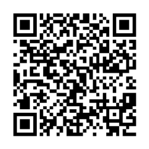 而此时身在山上的池佳一二人刚一出现便被这满山霞光所笼罩二维码生成