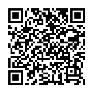 而此时还活着的第一批修士开始向着星域宗退去二维码生成