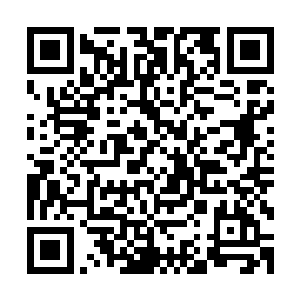 而此时这些刚才还嚣张至极的仙阵师却是老老实实地去破阵了二维码生成