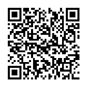 而此时这里已经站立了两排二十多名身穿金色盔甲二维码生成