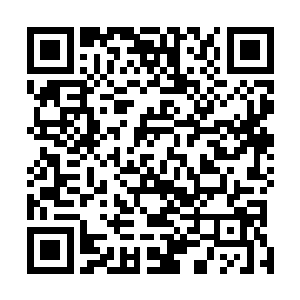 而此时那些分神期以下的修士也都听到了大乘期修士的话二维码生成