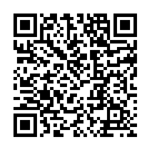 而此时那些堵在门口想要找苏墨尘的混混一见到赌城的人来了二维码生成