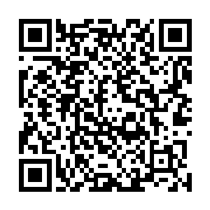 而此时龙傲天的神识竟然以极快的速度被这个盒子吸收着二维码生成