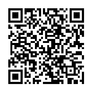 而武器的特殊形式对一些术法往往就有着特殊加成二维码生成