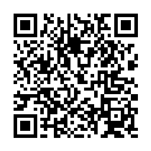 而武者死后爆发出来的强烈不甘便是它们最好的食物二维码生成