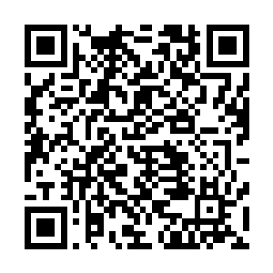 而每一个场地的大小和大组武道馆的场地大小是一模一样的二维码生成