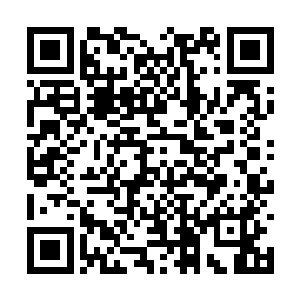 而每一次哪家人杀猪都会叫很多亲朋老友来吃猪Ｒ二维码生成