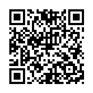 而每个城市的律法职业的数目上去了二维码生成