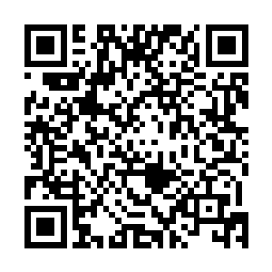 而每天砸出去用来收购医药加工厂的钱也是一个天文数字二维码生成