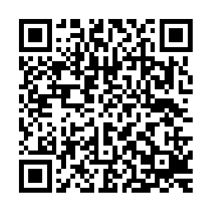 而江少游之所以还要先将黑色的骰盅罩子掀起一个小小的缝隙二维码生成