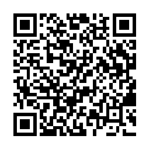 而池佳一体内的真气也在不断吞噬着这股精纯的能量二维码生成