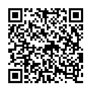 而沃尔夫冈这里最不缺的就是这种方方面面都很优秀的士兵二维码生成
