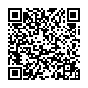 而沈喜臻从一知道叶知秋要来的消息后就高兴得不得了二维码生成