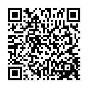 而法雷尔家族对外面的宣告则是这位祖先已经离开了南海岸二维码生成