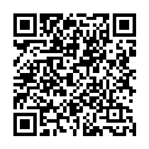 而泠风自然是无论如何都不愿意让自己弱了北辰泠一点点的二维码生成