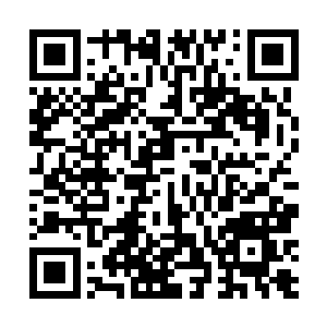 而波塞冬自己则是在一阵阵惨叫声中被那五色烈焰焚灭二维码生成