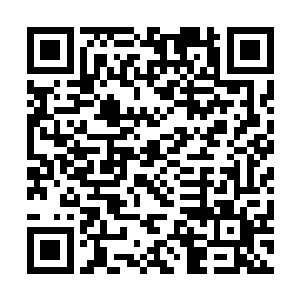 而洛家的威名再一次因为12岁的小杰布而引起轩然大波二维码生成