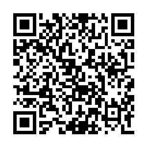 而流传下来的几种无疑不是十分难以学会的那种二维码生成