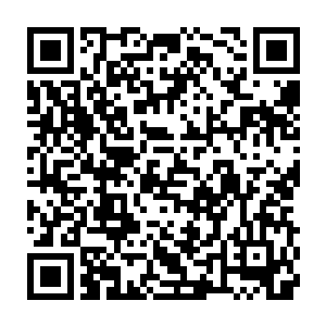 而流墨墨也干咳一声打断那兄妹咬牙切齿嘟囔自己被黑了多少仙晶的话语二维码生成