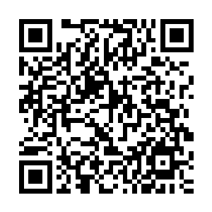 而流墨墨他们看了一会儿寒焰生命们这边的情况就失去了兴趣二维码生成