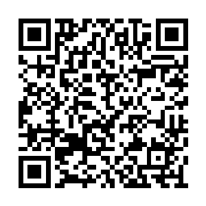 而流墨墨他们看向那把粉色小药丸却是目光灼亮二维码生成