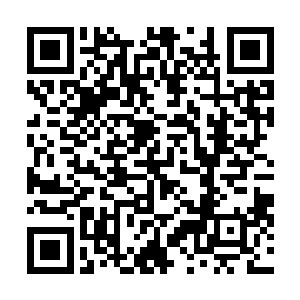 而流墨墨控制着血焰并没有伤害被丢弃的这截金黄色藤蔓二维码生成