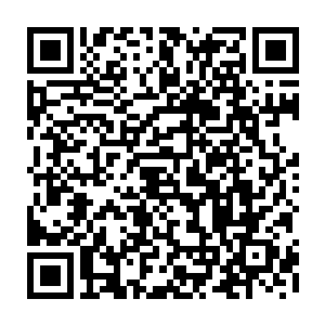 而流墨墨看到琴瑟色这般神色反应只突然取出一壶还没有解封的仙酒抛给了她二维码生成