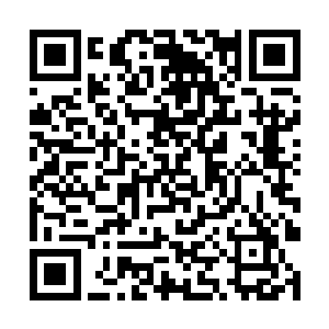 而流墨墨看着那只从气息上就非常不好了的尤五小姐二维码生成