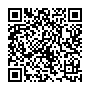 而流墨墨这么长时间都没有如她承诺的那般复活出魅业火二维码生成