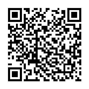 而浮空城市本身则处于幽南行省的近地空上限高度二维码生成
