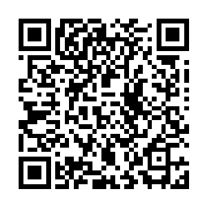而海澜门的长老还有宗主见到这一幕除了惊骇还是惊骇二维码生成
